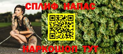 тгк Будённовск