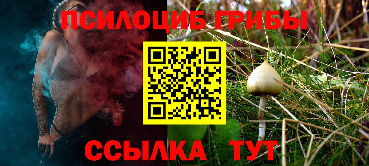 Псилоцибиновые грибы Psilocybe  Вход с VPN  Галлюциногенные грибы Psilocybine cubensis  Волхов 